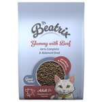 Beatrix Adult s hovädzím mäsom 1, 4kg