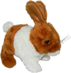 Hase Hufflepuff