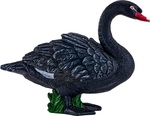 Mojo Cygne noir