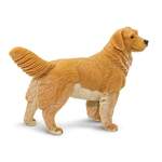 Safari® Zlatý retriever