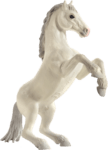 Mojo Animal Planet Kôň Mustang biely