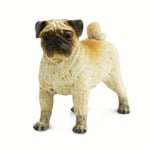 Safari® Câine Mops