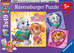 Paw Patrol 3x49 komada