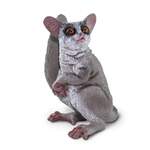 Safari® Galago klipan