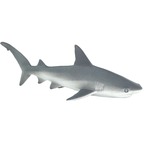 Safari® Grauer Riffhai