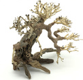 Bonsai Driftwood 25 x 20 x 23 cm Nr.82